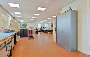 Belegging Robijn 800 Dordrecht